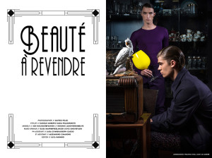 beaute-a-Revendre_fy1